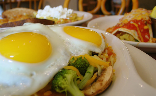 Sarasota-restaurants-breakfast-village cafe-eggstravaganza
