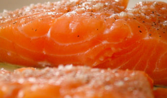 Salmon (4)-1