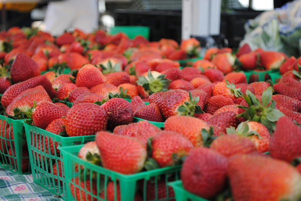 Fresh Florida Strawberries