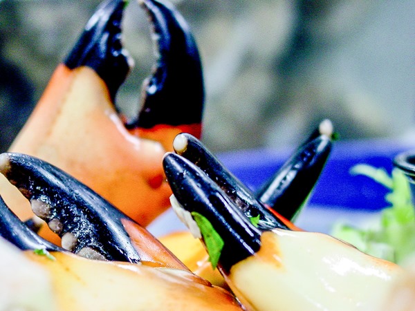 Stone Crab