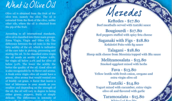 blu-kouzina-greek-menu-sarasota