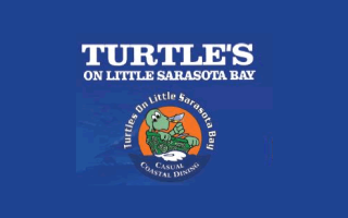 turtles-little-sarasota-bay-siesta-key-sarasota-restaurants