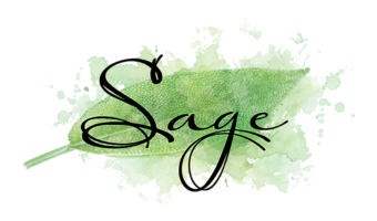 sage-sarasota-restaurants