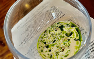 RAW SCALLOP - MELIORA, SARASOTA FL